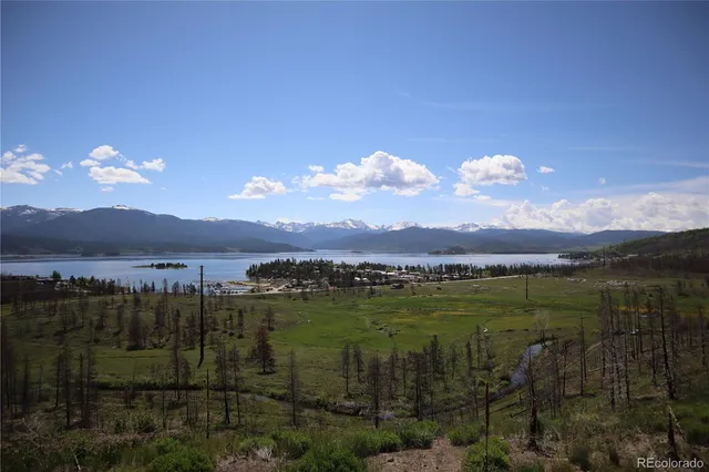 a view of a lake with a city