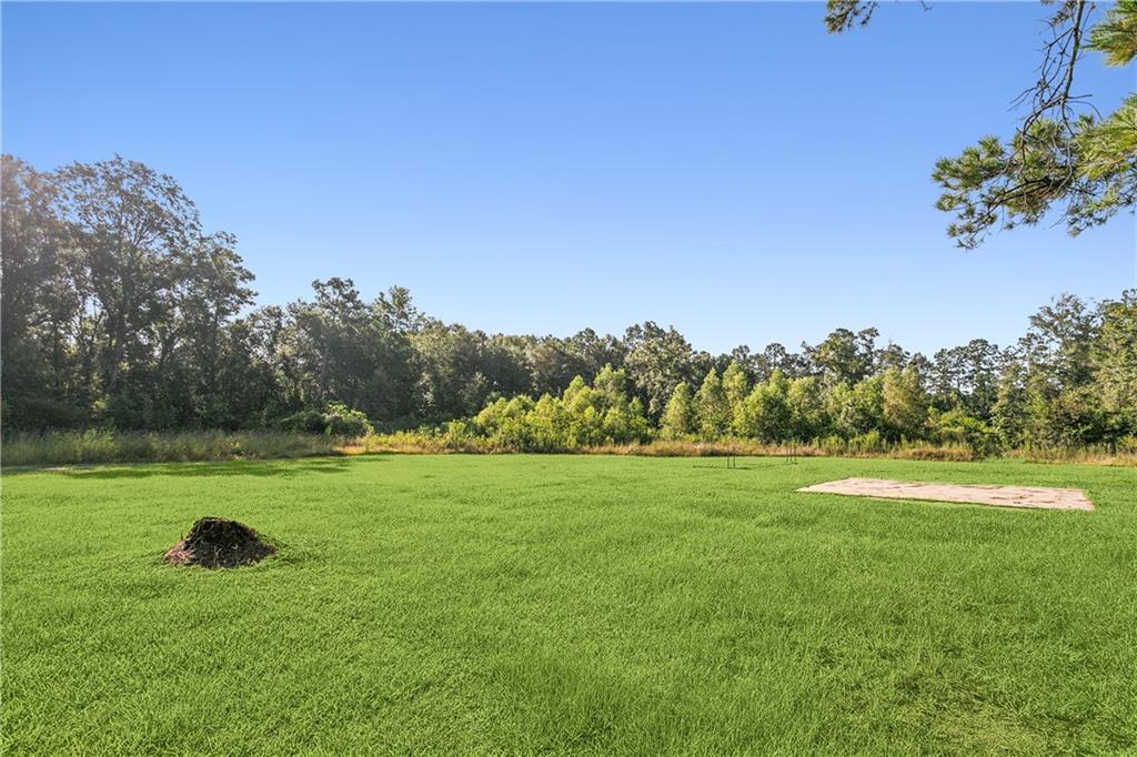 22136 Tom Perrin Road Ponchatoula, LA 70454 - Photo 16 of 17 Gallery Image 16