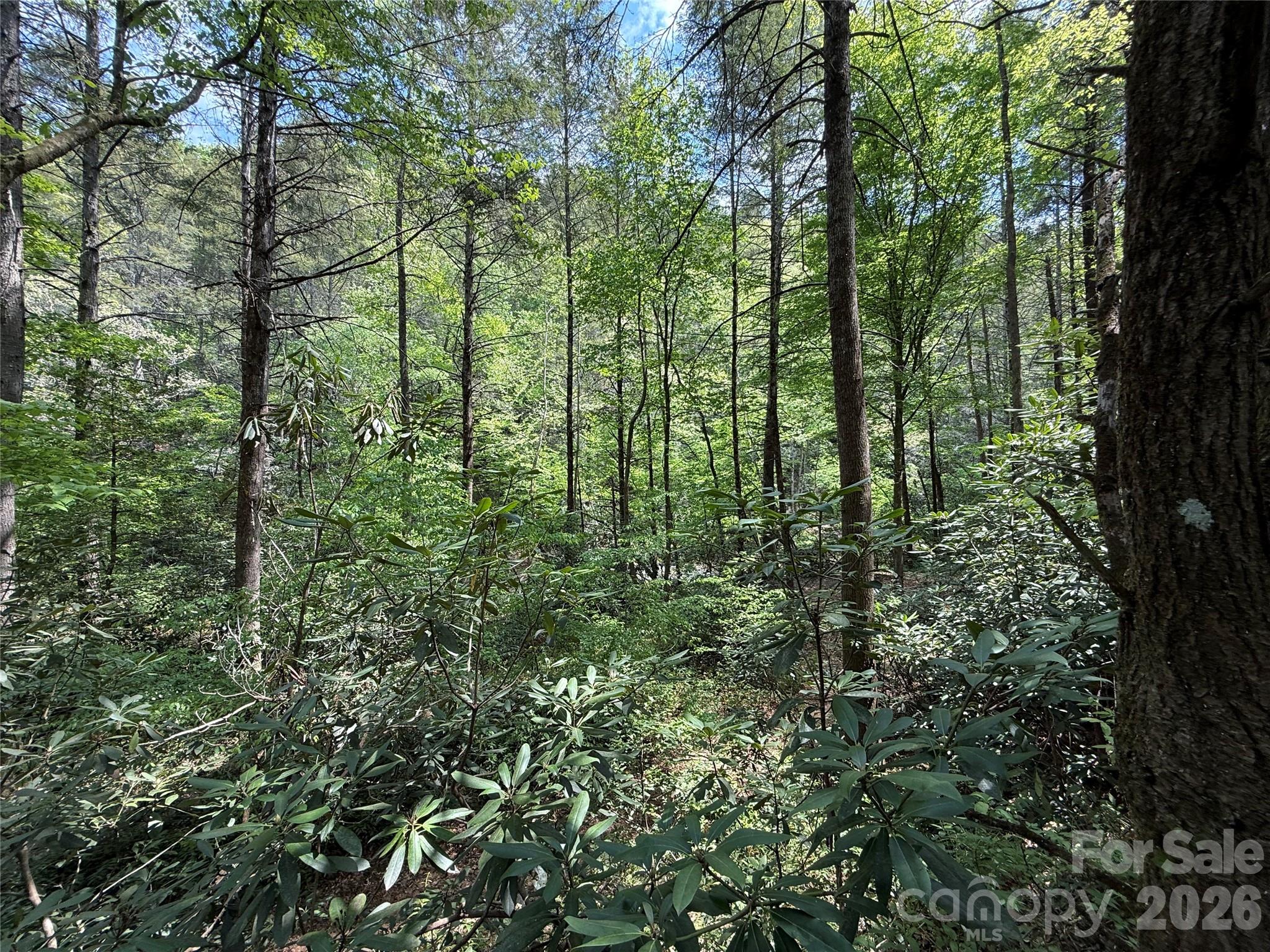 0 Kings Glen Road Old Fort, NC 28762 - Photo 11 of 47 Gallery Image 11