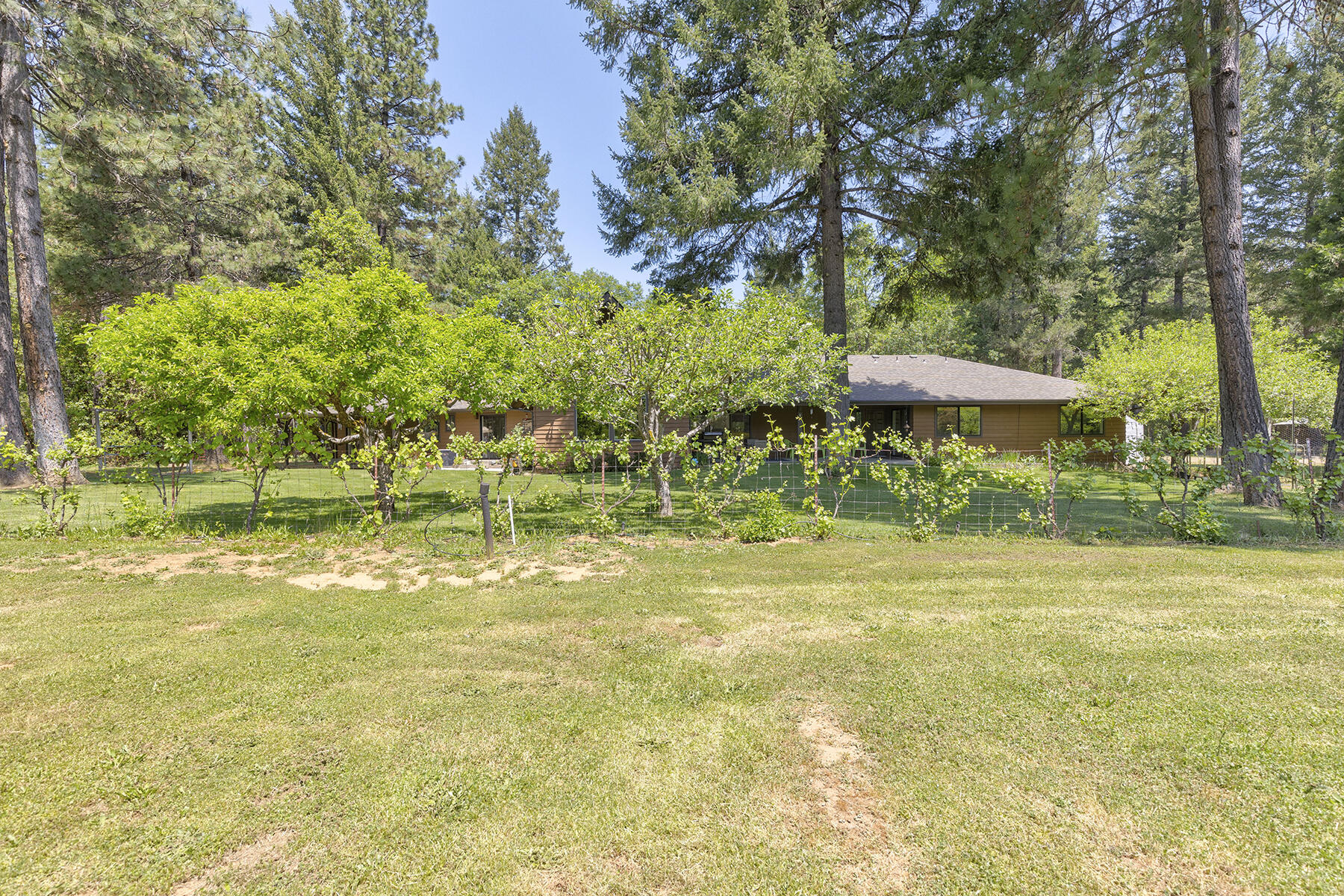4161 Takilma Road Cave Junction, OR 97523 - Photo 41 of 74 0R1A1176_77_78_79_80