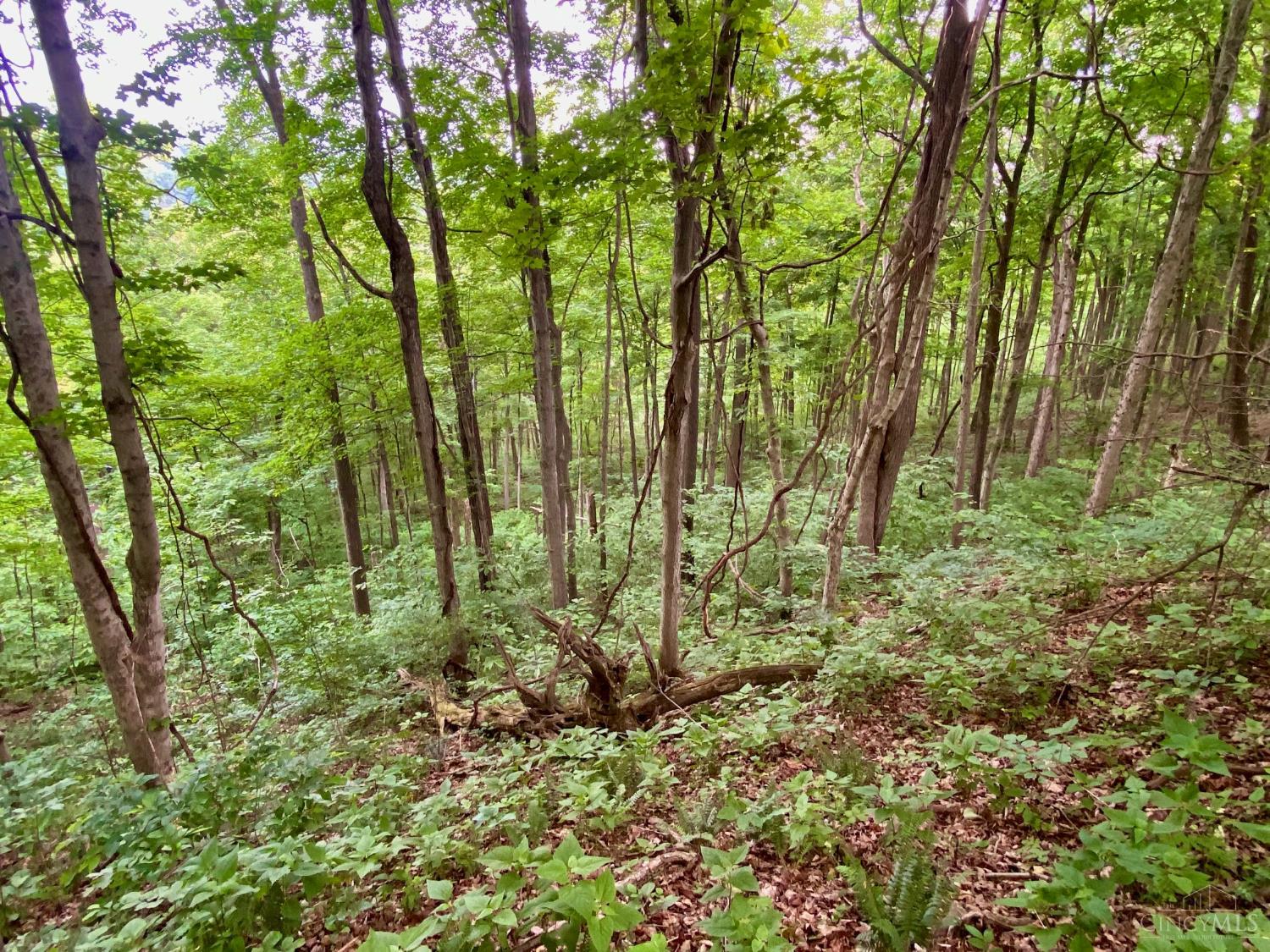 85 Pfeifer Road Manchester, OH 45144 - Photo 9 of 15