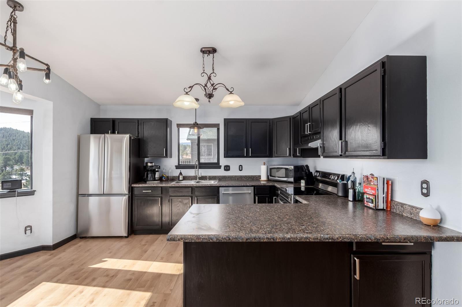 121 Sunlight Lane Bailey, CO 80421 - Photo 9 of 30 a kitchen with stainless steel appliances granite countertop a sink refrigerator and microwave