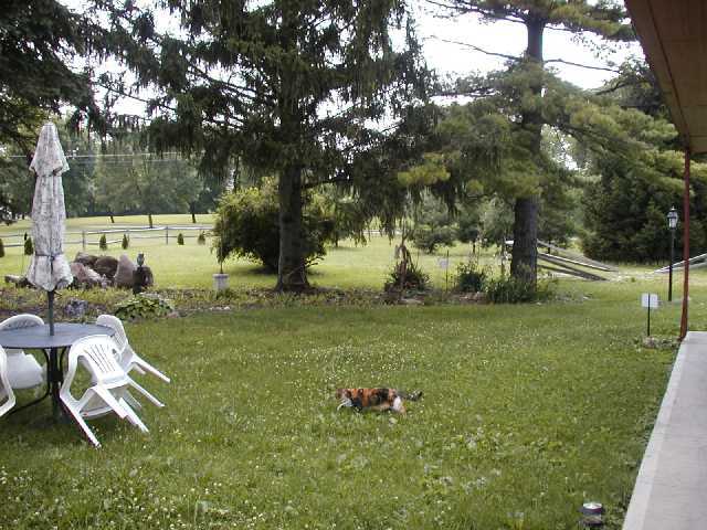 1995 Frank Road Columbus, OH 43223 - Photo 4 of 5