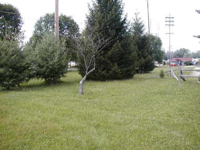 1995 Frank Road Columbus, OH 43223 - Photo 5 of 5