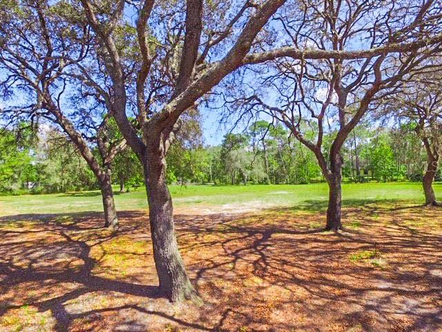 Moss Road Winter Springs, FL 32708 - Photo 1 of 1 Gallery Image 1