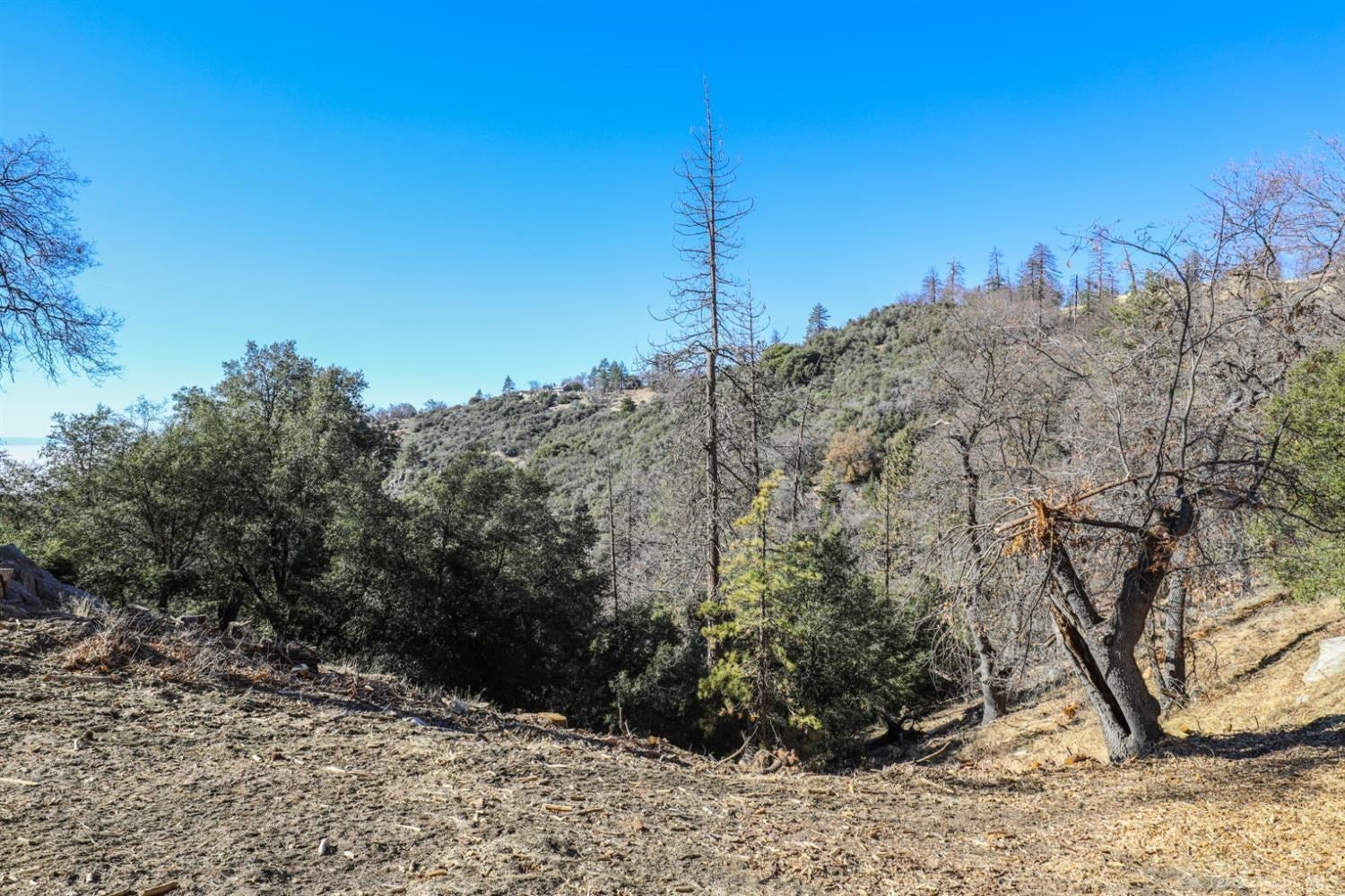29800 Goldspike Road Tehachapi, CA 93561 - Photo 67 of 99 Gallery Image 67