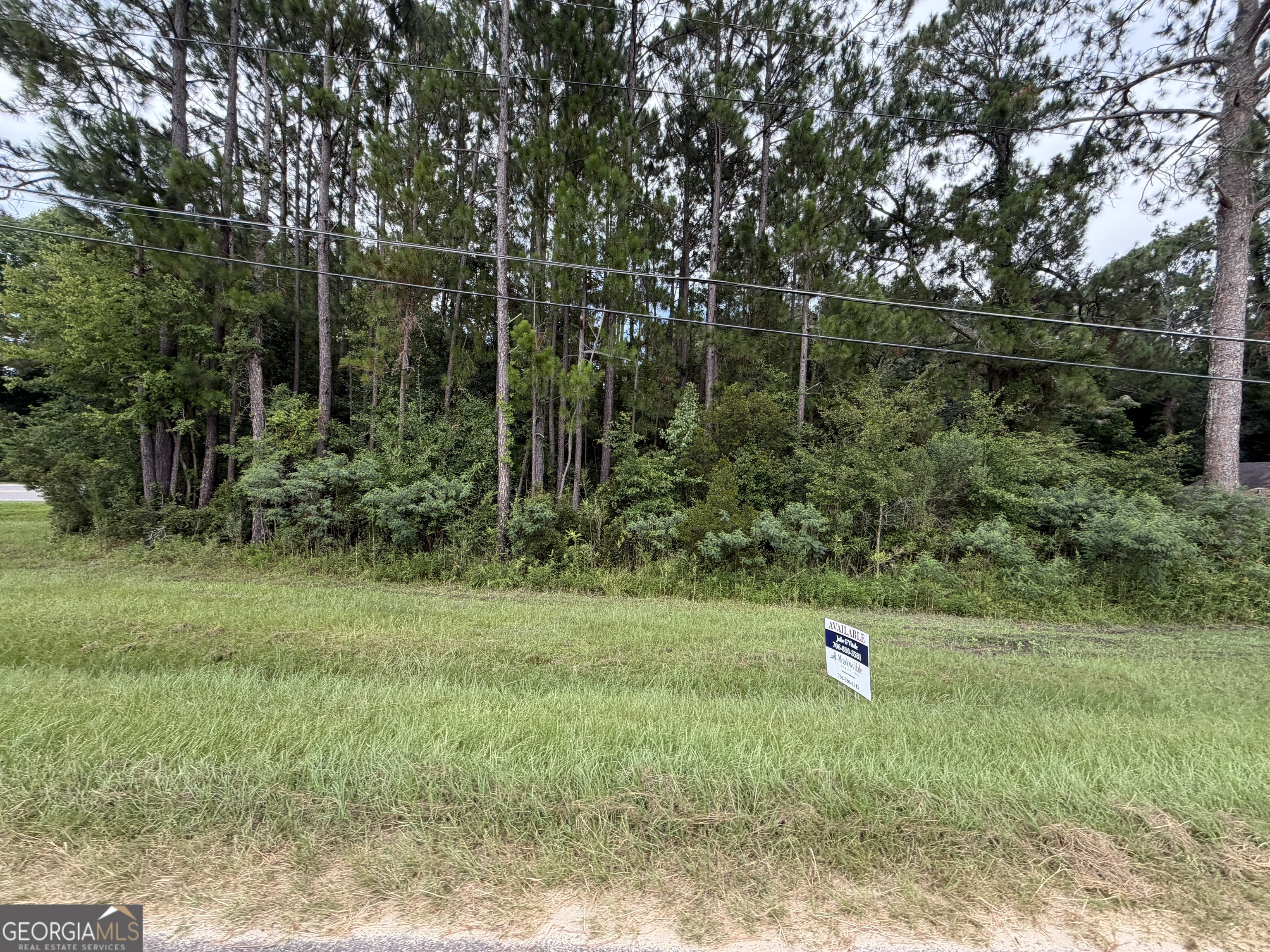 77-acre 77-acre Leary North Road Ashburn, GA 31714 - Photo 10 of 11