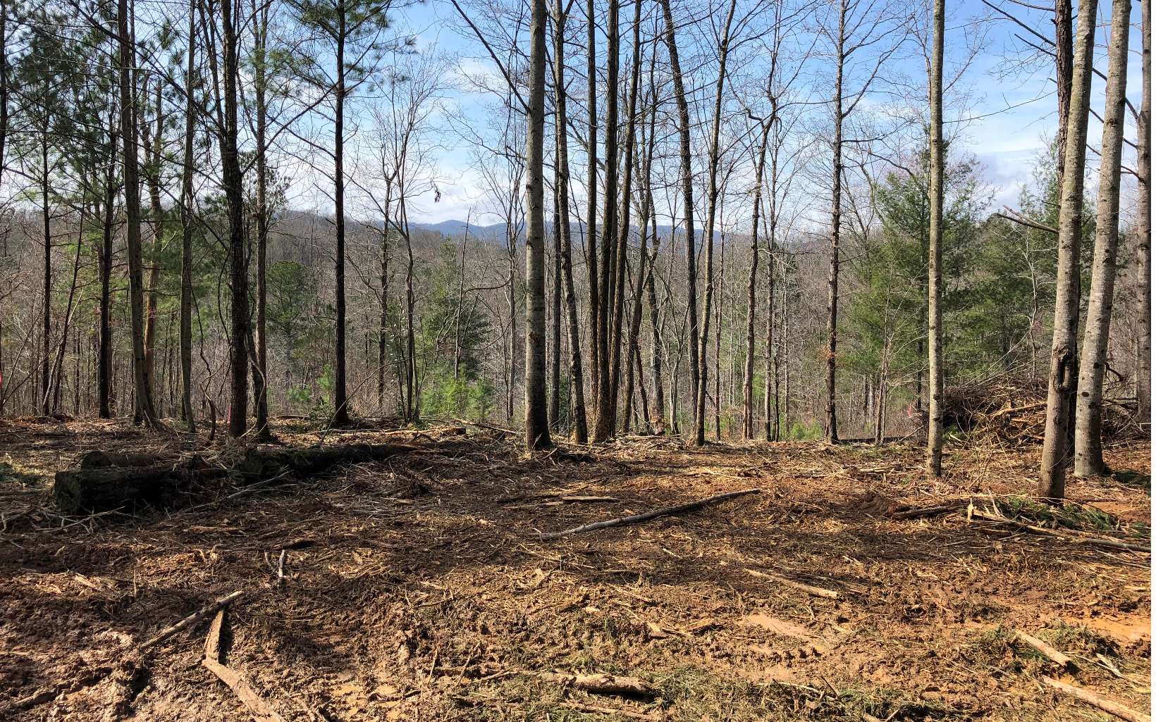 Lot 7 Crossroads Church Road Ellijay, GA 30540 - Photo 1 of 1 Main View