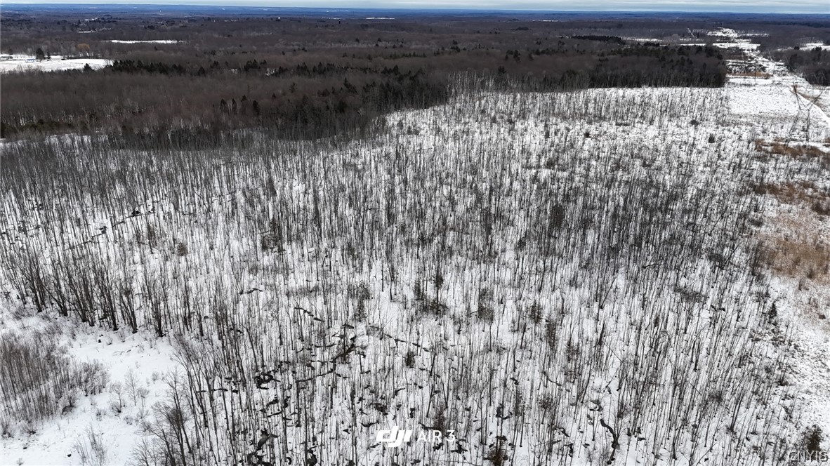 Green Road Mexico, NY 13114 - Photo 4 of 14