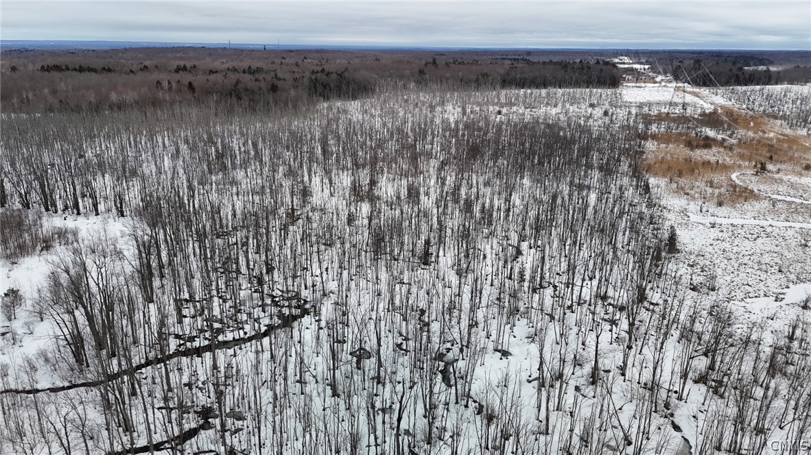 Green Road Mexico, NY 13114 - Photo 5 of 14