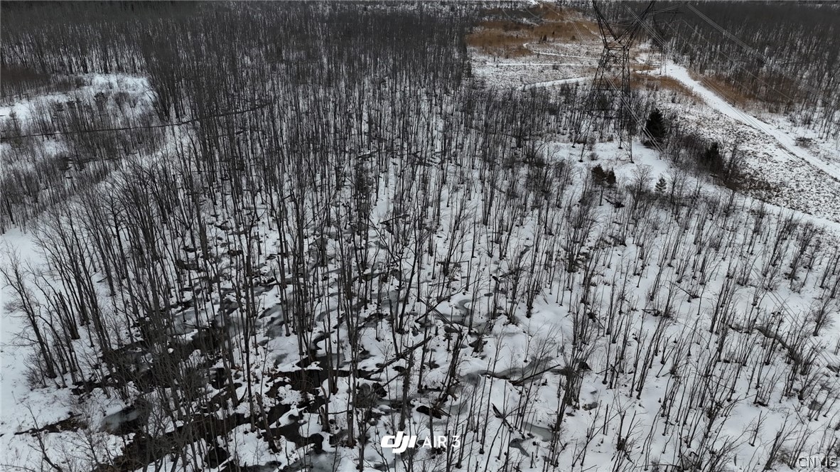 Green Road Mexico, NY 13114 - Photo 6 of 14