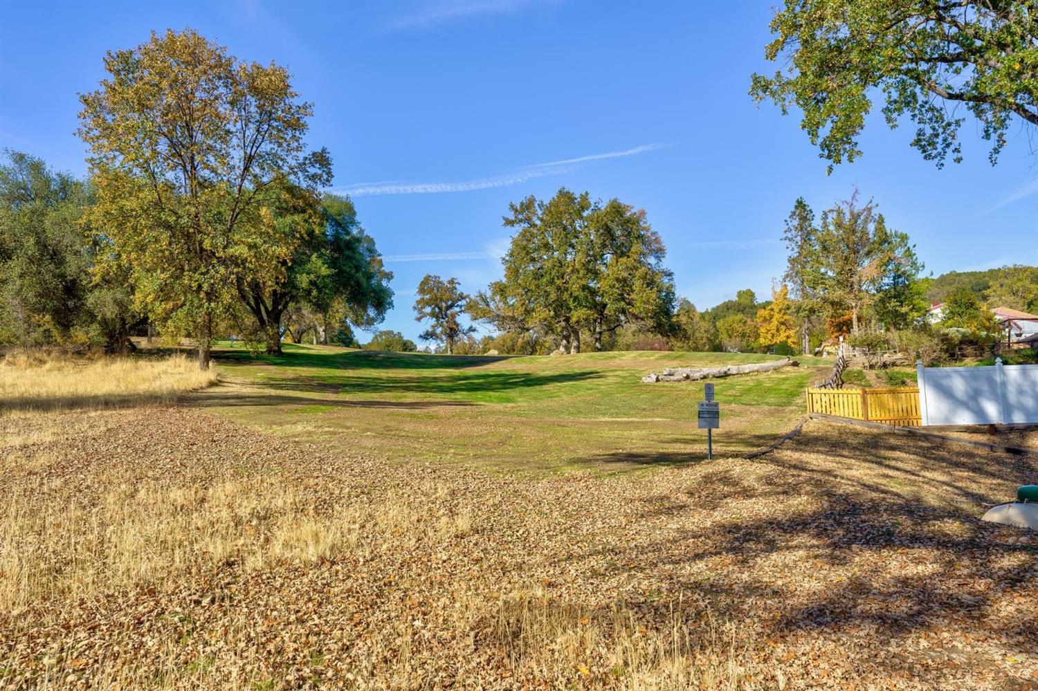 40410 Goldside Drive Oakhurst, CA 93644 - Photo 23 of 24 a view of a yard with a house