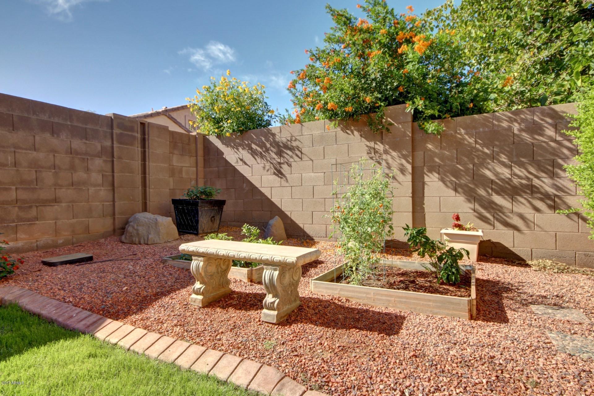 17605 West Bloomfield Road Surprise, AZ 85388 - Photo 35 of 36 GARDEN READY TO GO!