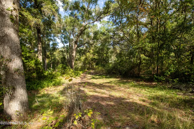 a view of a yard with a tree