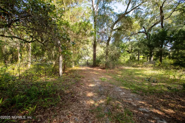 a view of outdoor space and yard