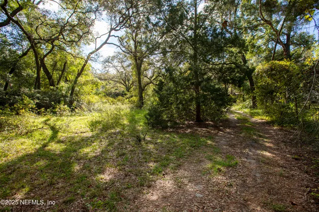 a view of a yard with a tree