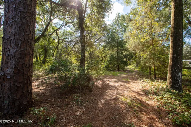 a backyard of a house with lots of green space