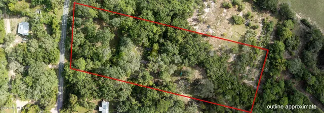 a close up of a tree