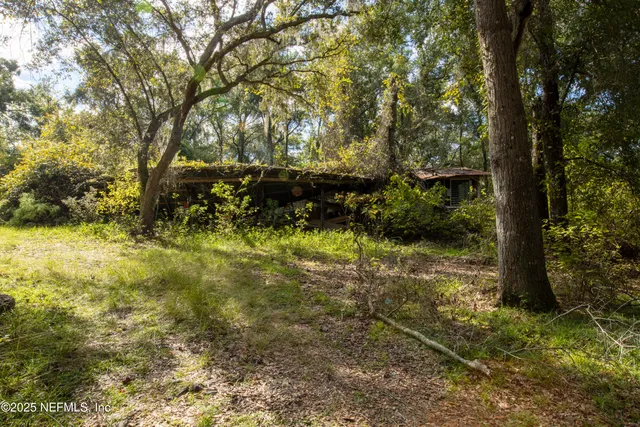 a view of backyard with green space
