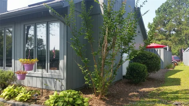 a garden view with tall trees