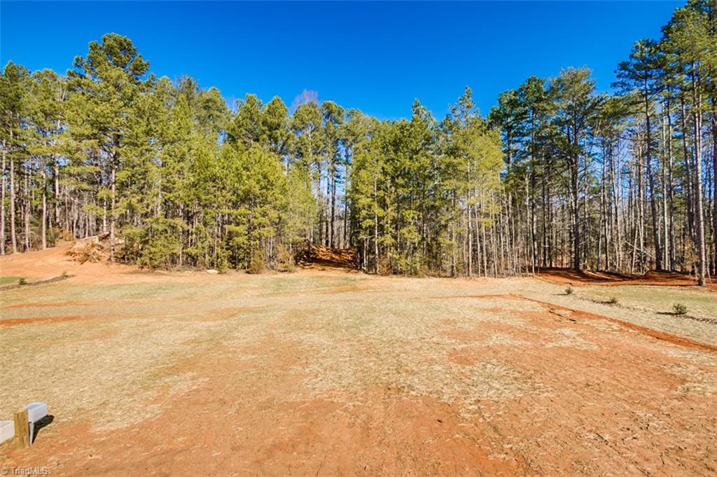 2462 Stutts Road Asheboro, NC 27205 - Photo 28 of 30 Gallery Image 28