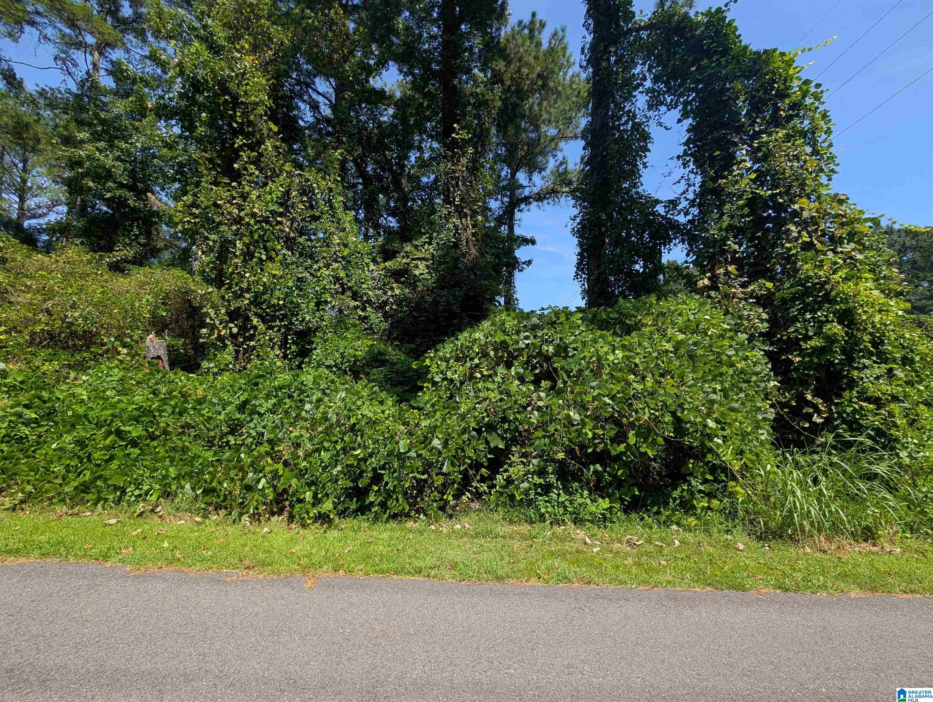 0 Hilltop Road Weaver, AL 36277 - Photo 8 of 18 Gallery Image 8