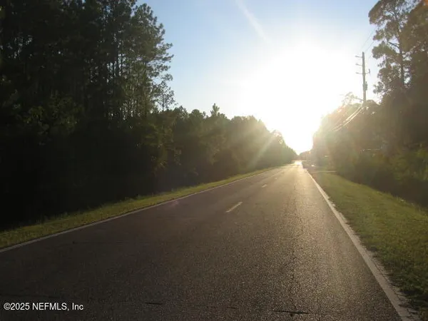 a view of a forest with trees in the background