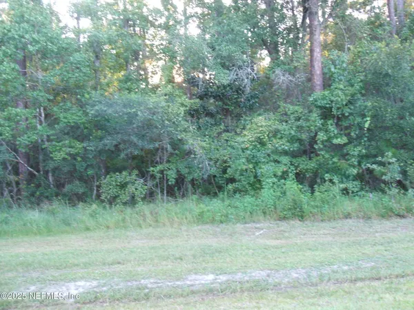 a view of a grassy field with trees in the background