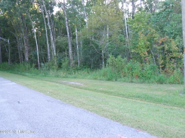 a view of a yard with a trees