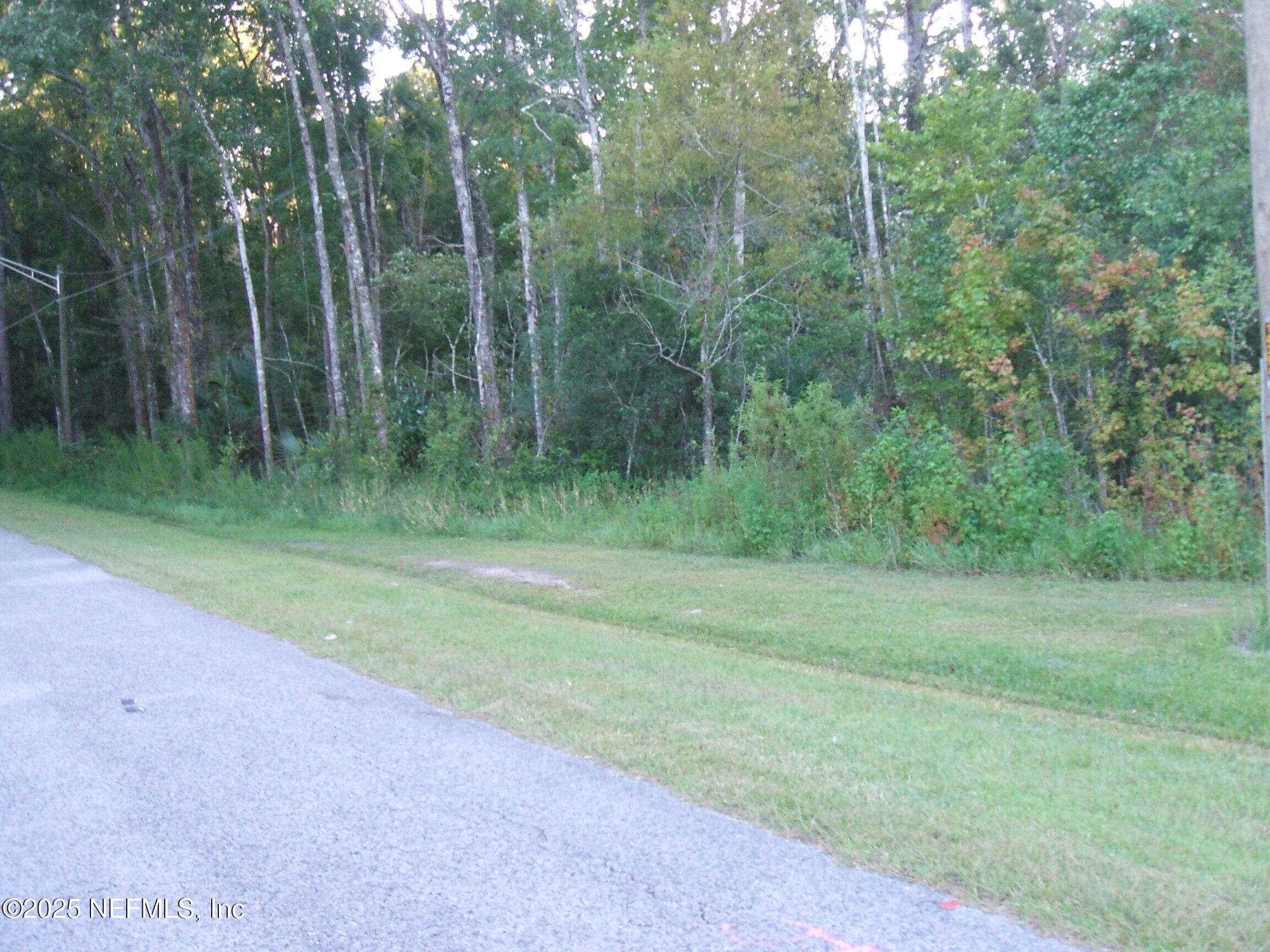 0 Owens Road Jacksonville, FL 32218 - Photo 13 of 20 a view of a grassy field with trees in the background