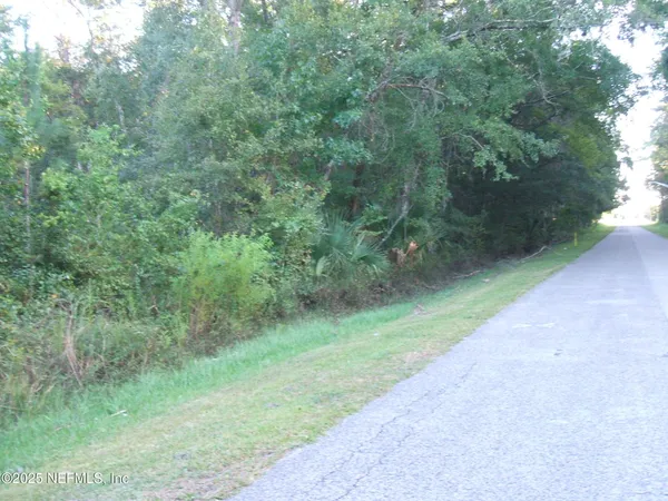 a view of a lush green forest