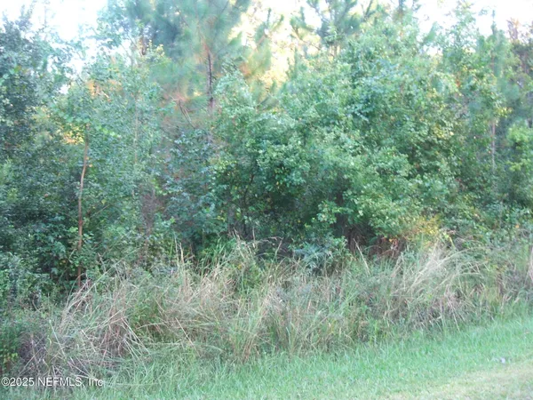 a view of a field with a trees in the background