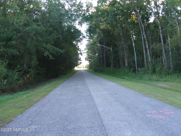 a view of a forest with lots of trees