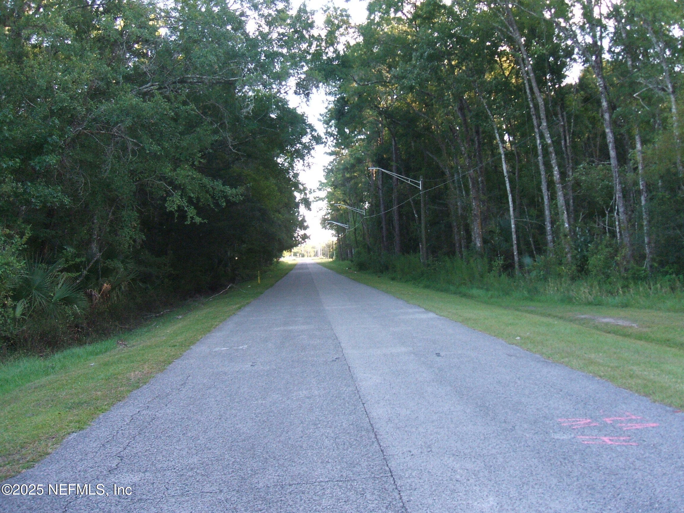 0 Owens Road Jacksonville, FL 32218 - Photo 17 of 20 a view of a yard with a trees