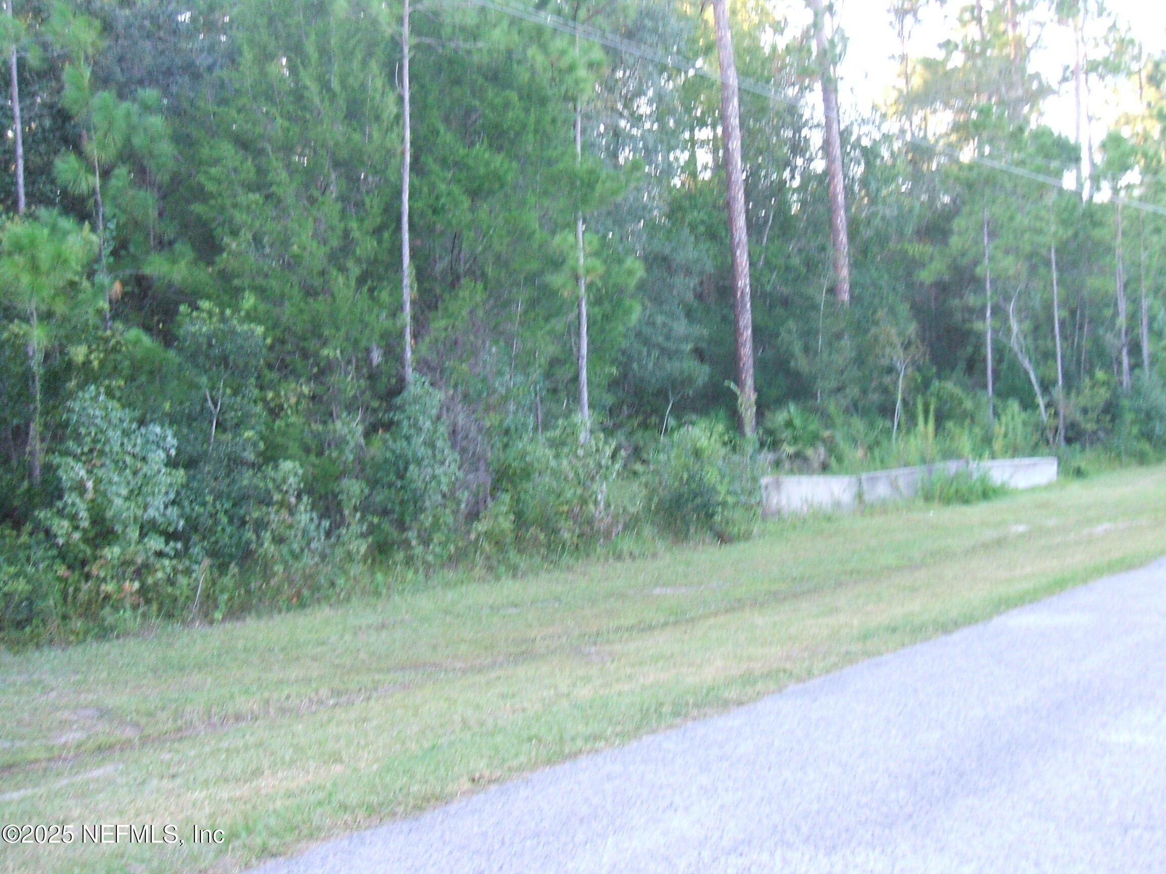 0 Owens Road Jacksonville, FL 32218 - Photo 19 of 20 a view of a park