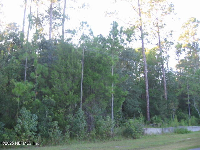 0 Owens Road Jacksonville, FL 32218 - Photo 3 of 20 a view of a forest with trees in the background