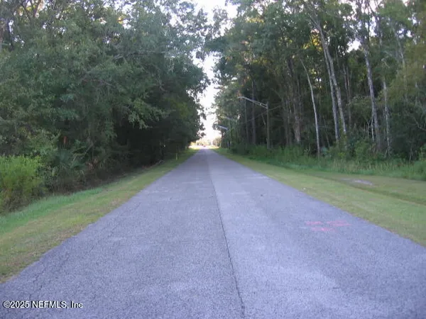 a view of a yard with a trees