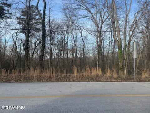0 West Ridgecrest Drive Kingston, TN 37763 - Photo 5 of 21