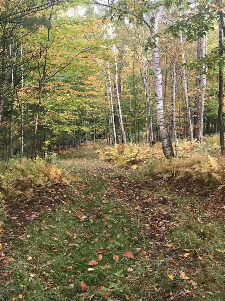 B Pinneo Hill Road Etna, NH 03750 - Photo 11 of 19