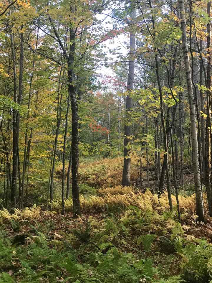 B Pinneo Hill Road Etna, NH 03750 - Photo 12 of 19