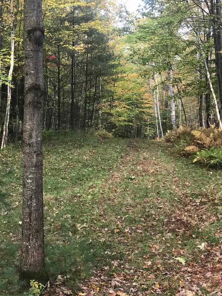 B Pinneo Hill Road Etna, NH 03750 - Photo 13 of 19