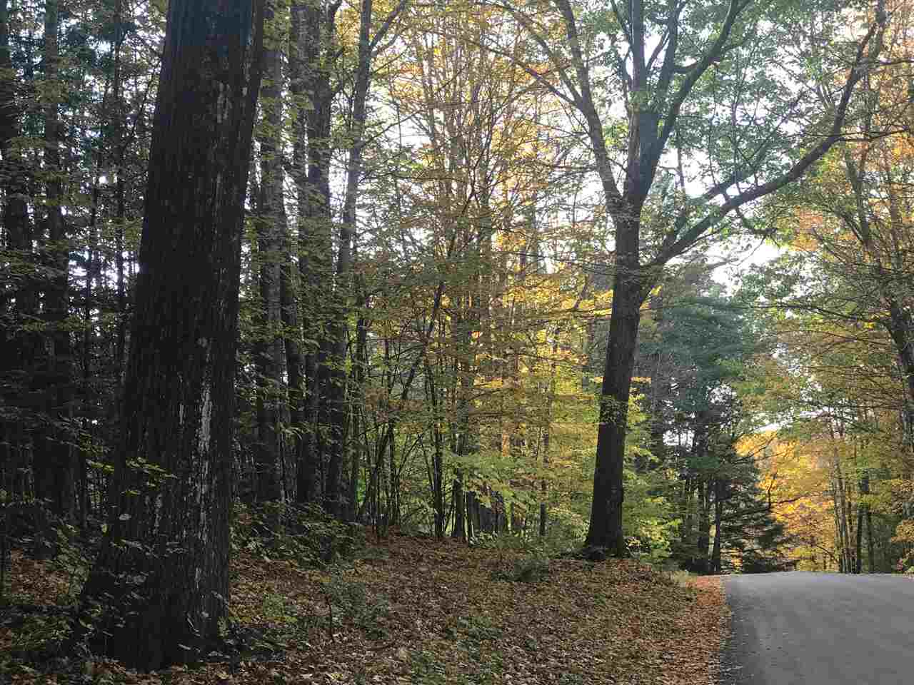 B Pinneo Hill Road Etna, NH 03750 - Photo 14 of 19