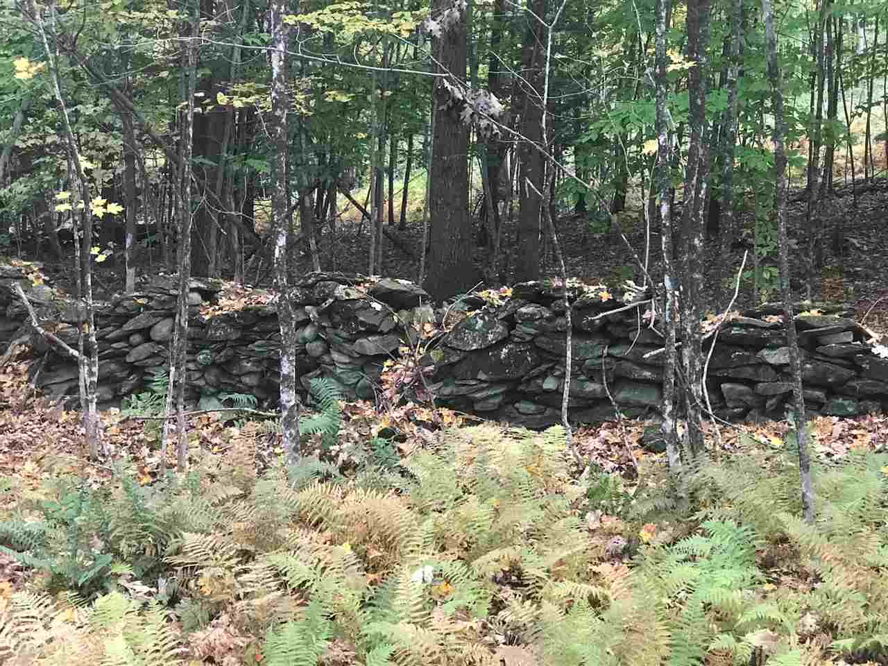 B Pinneo Hill Road Etna, NH 03750 - Photo 15 of 19