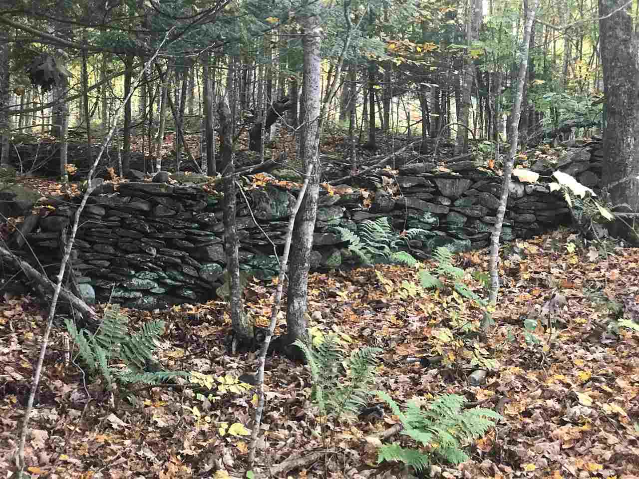 B Pinneo Hill Road Etna, NH 03750 - Photo 16 of 19