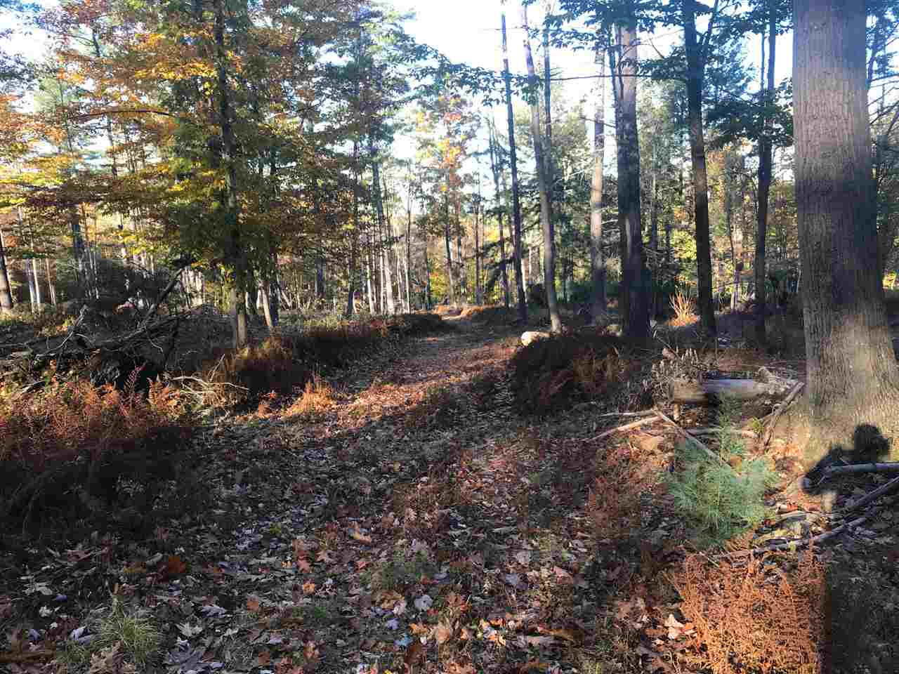 B Pinneo Hill Road Etna, NH 03750 - Photo 17 of 19