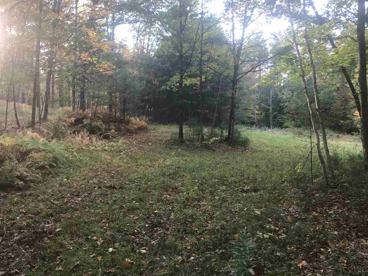 B Pinneo Hill Road Etna, NH 03750 - Photo 3 of 19
