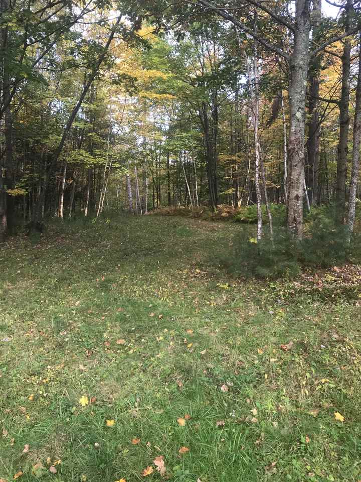 B Pinneo Hill Road Etna, NH 03750 - Photo 6 of 19