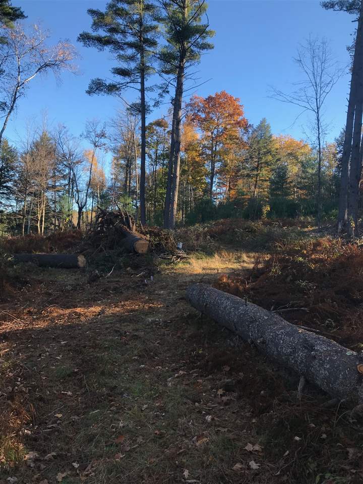B Pinneo Hill Road Etna, NH 03750 - Photo 8 of 19