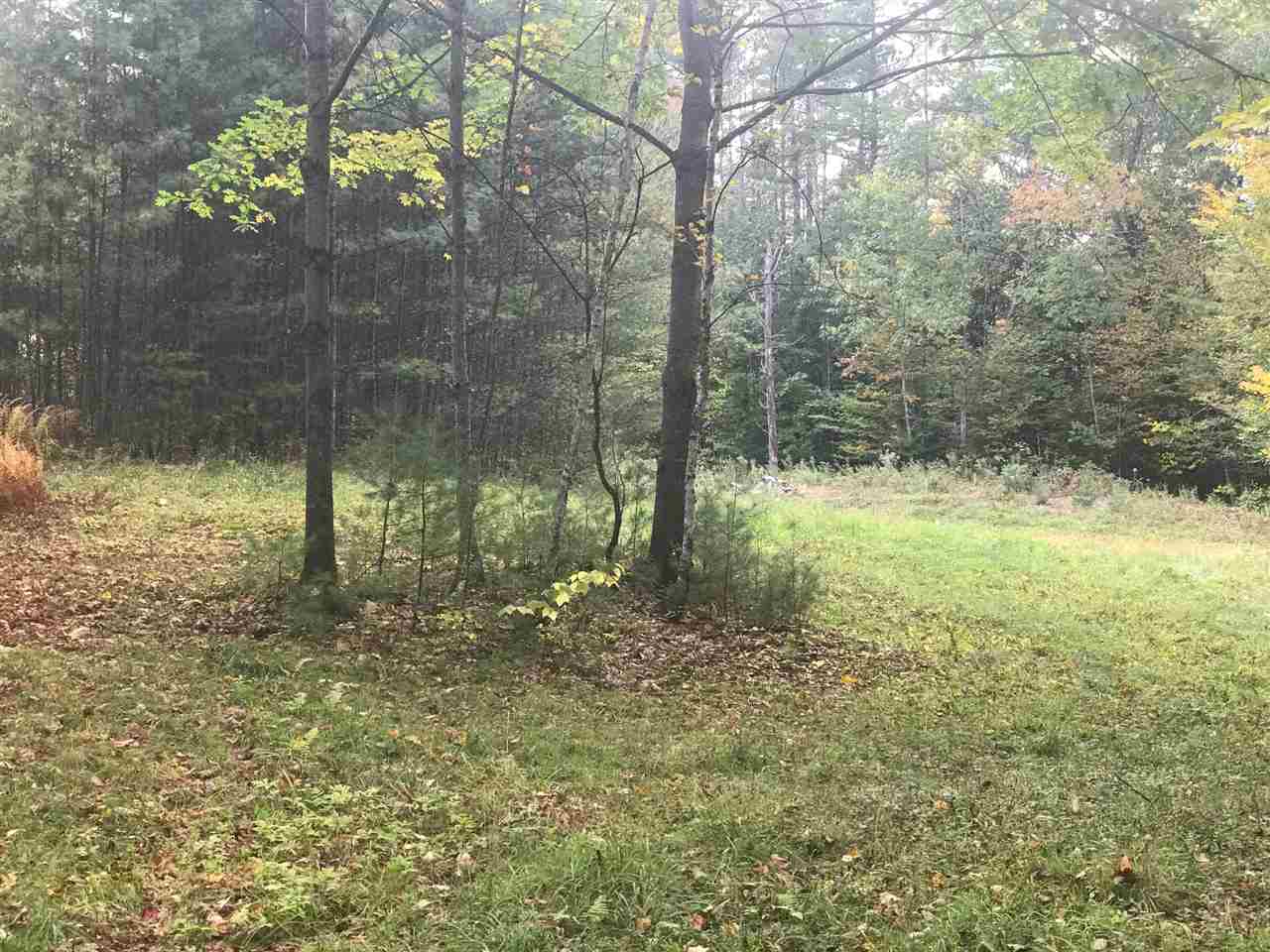 B Pinneo Hill Road Etna, NH 03750 - Photo 10 of 19