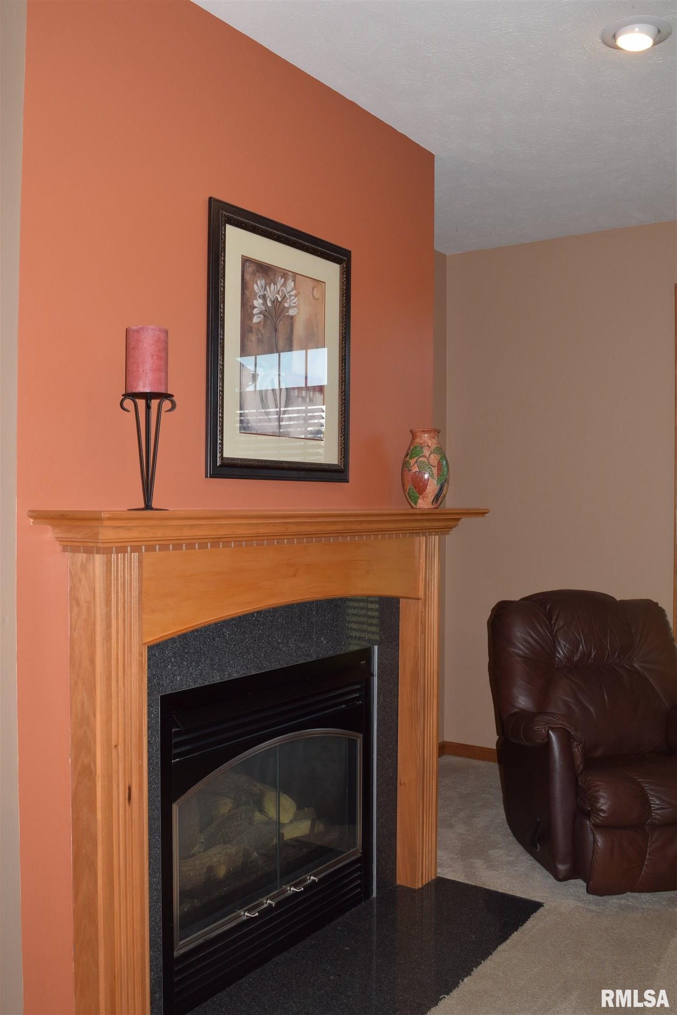 16 Drake Road Jacksonville, IL 62650 - Photo 16 of 49